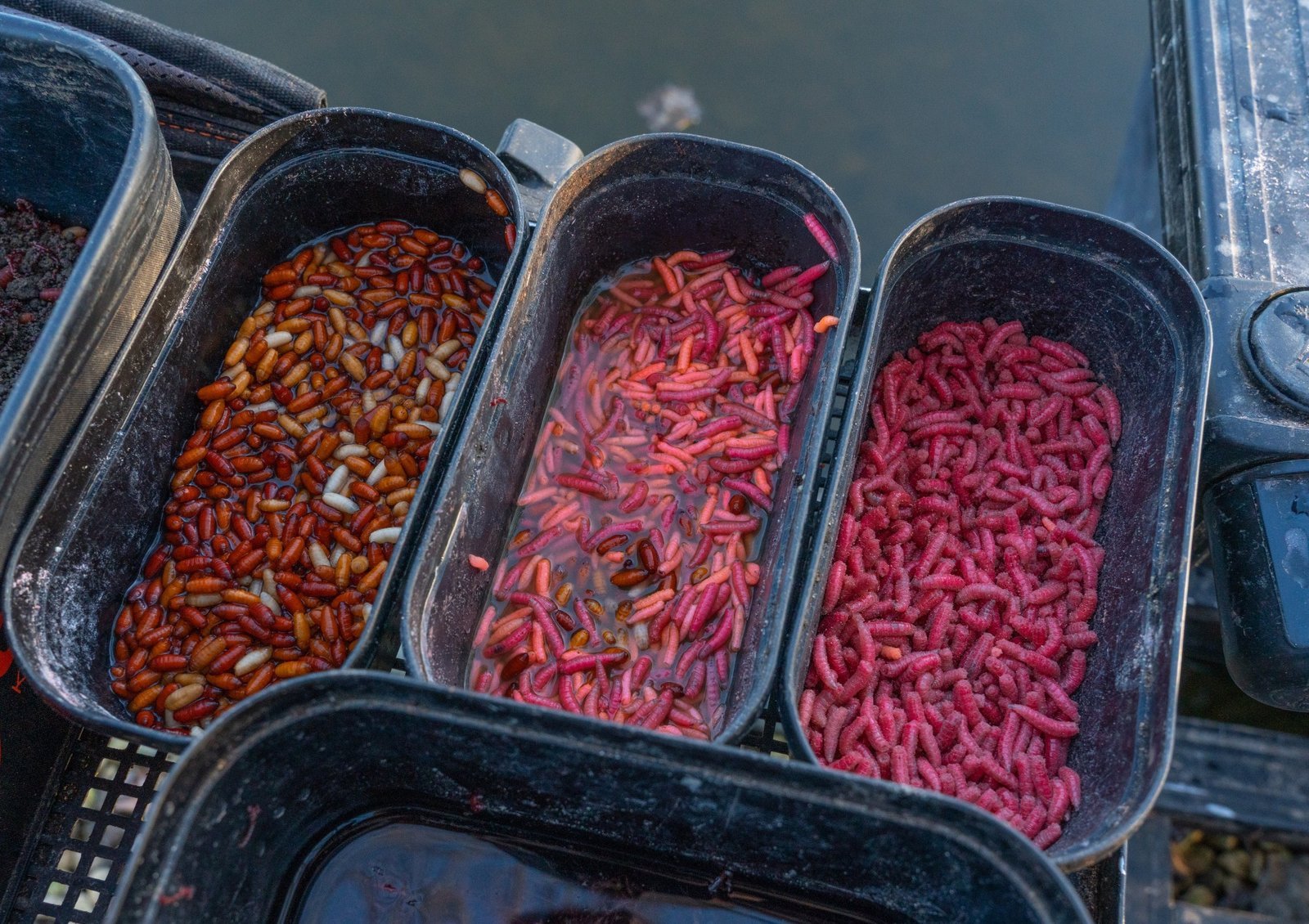 Кутия за примамки Bait Box 1.1 Pint Оранжева